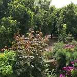 Spanos House Goudhi