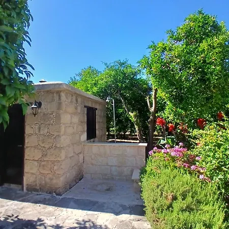 Daire Spanos House Goudhi
