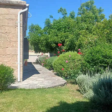 Daire Spanos House