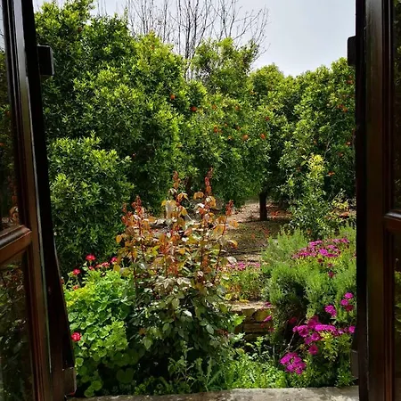 דירה Spanos House